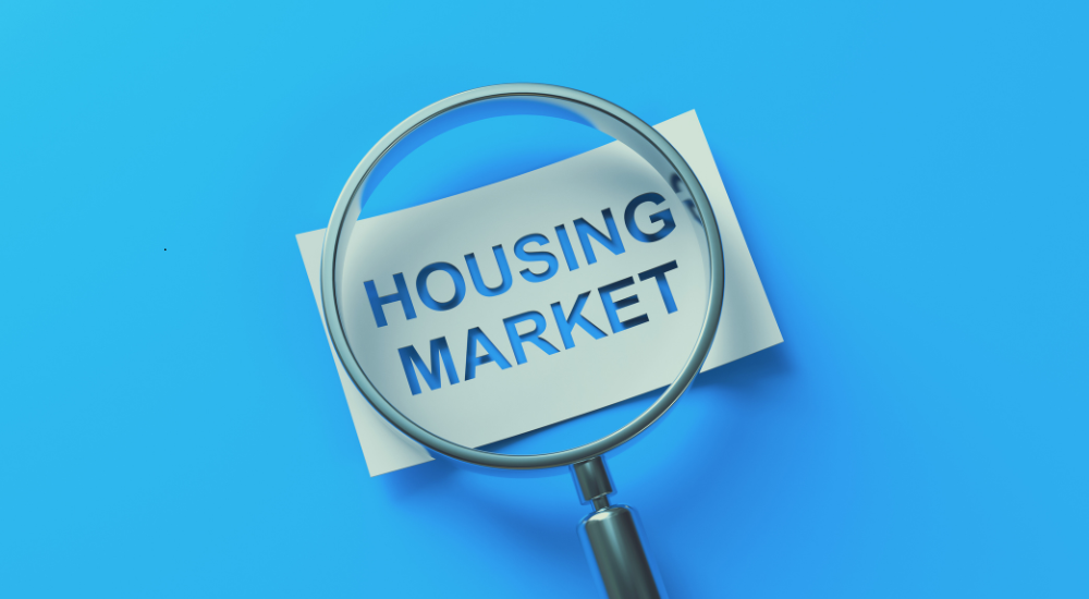 teamdda-market-update