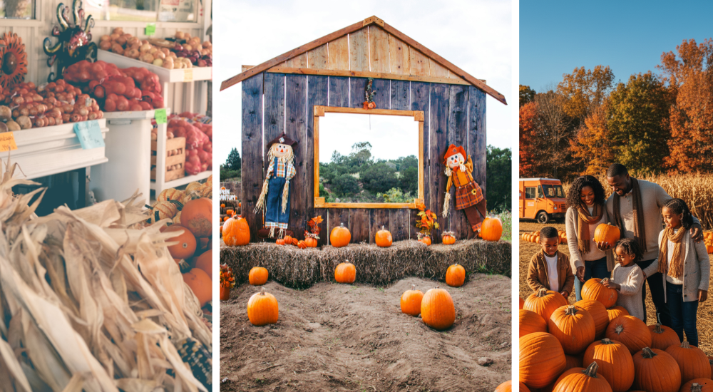 debbie-dogrul-associates-fall-fun-events-blog
