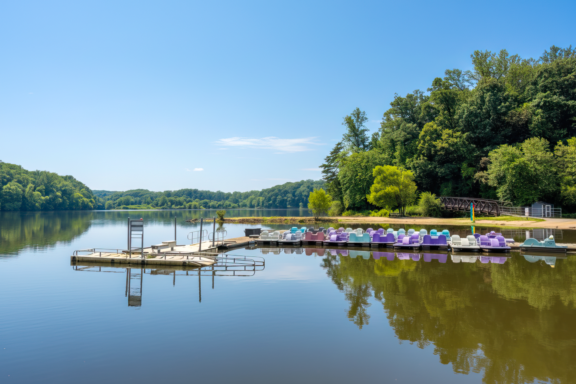 lake-accotink-debbie-dogrul-associates-blog
