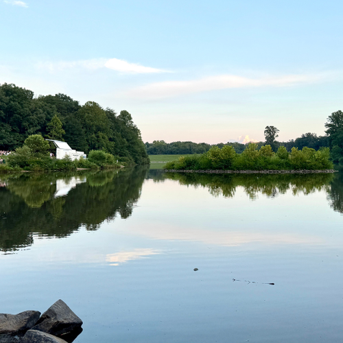 Exploring Royal Lake Park in Fairfax, VA