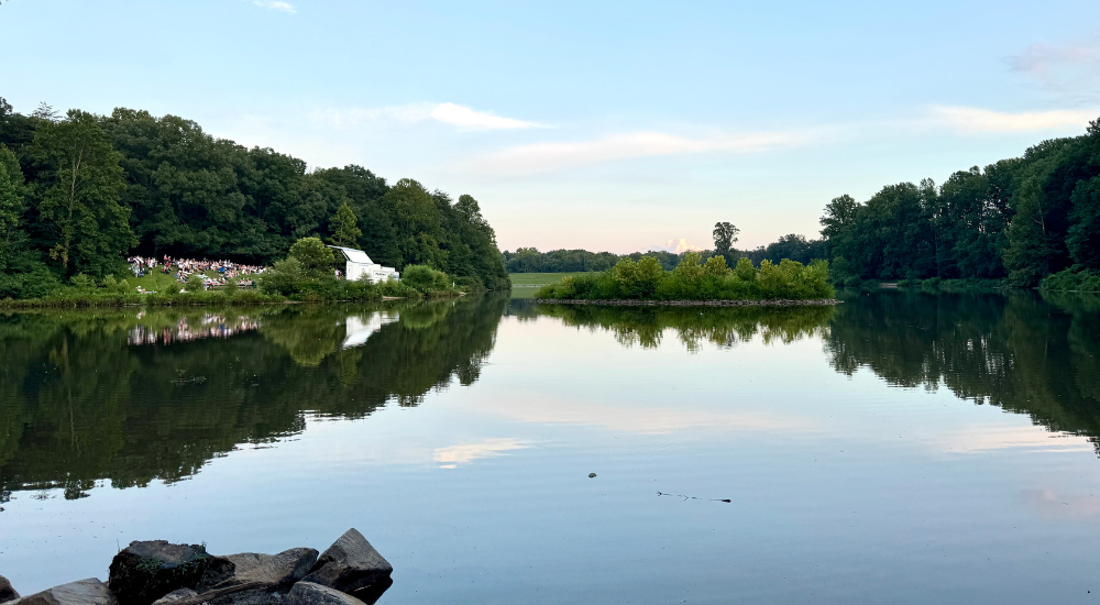 debbie-dogrul-associates-blog-lake-royal-fairfax-va (1)