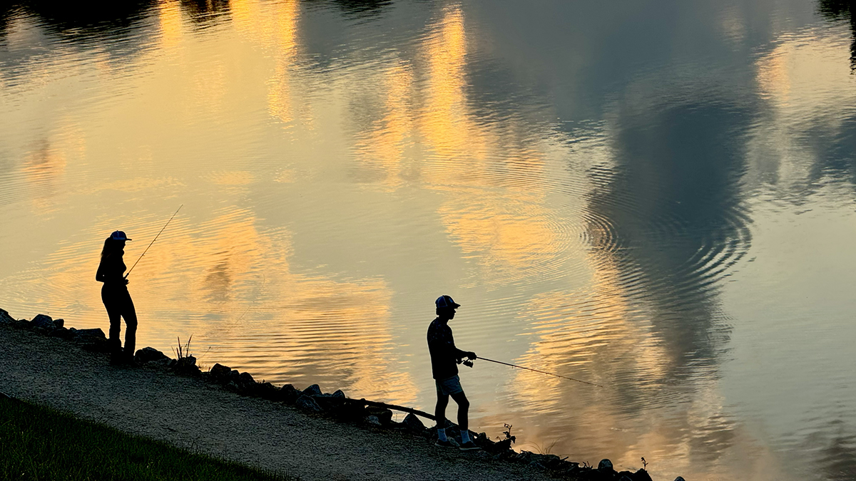 debbie-dogrul-associates-blog-lake-royal-fairfax-va (4)