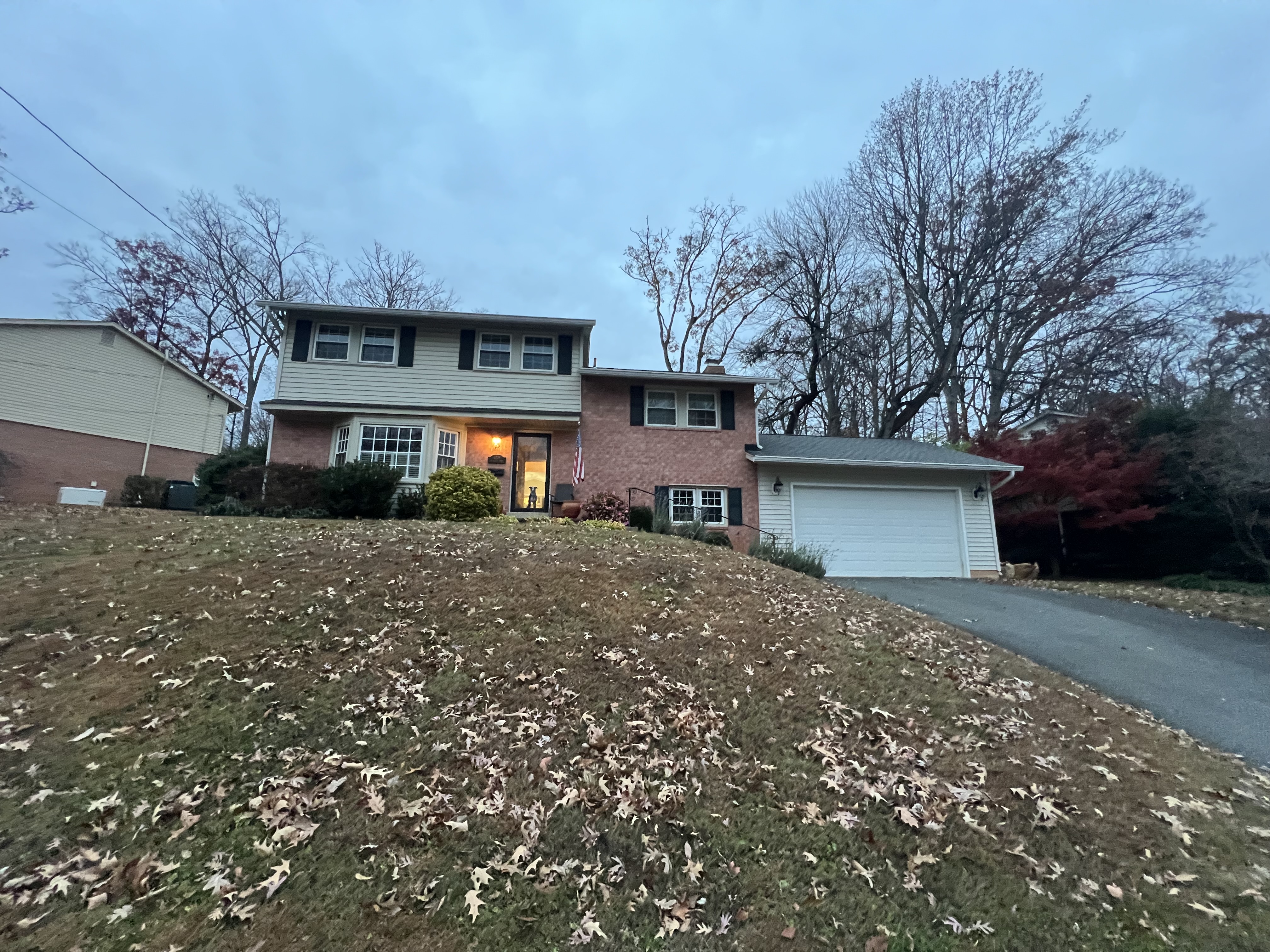 IMG_0584 - Stephanie Wayne