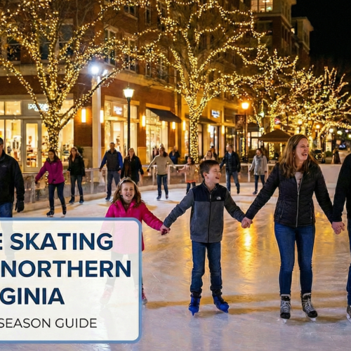 The Top Ice Skating Rinks in Northern Virginia for Winter 2025–2026