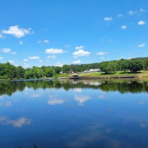 Exploring Lake Fairfax Park in Reston VA