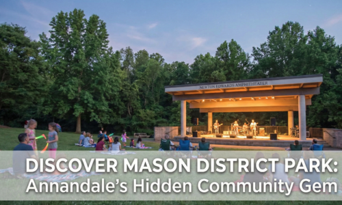 Discover Mason District Park: Why Annandale Homeowners Love This Hidden Gem in Northern Virginia
