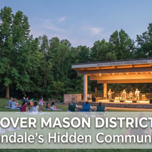 Discover Mason District Park: Why Annandale Homeowners Love This Hidden Gem in Northern Virginia