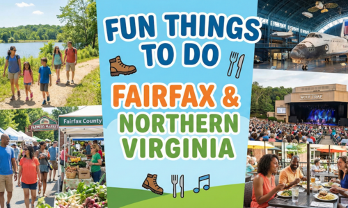 Fun Things to Do in Fairfax and Northern &hellip;