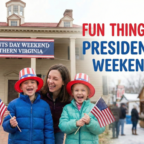 Fun Things to Do in Northern Virginia on Presidents Day Weekend
