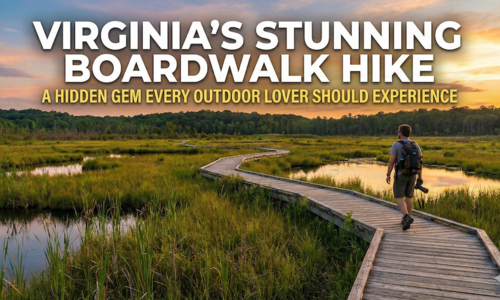 Virginia’s Stunning Boardwalk Hike Is a Hidden Gem &hellip;