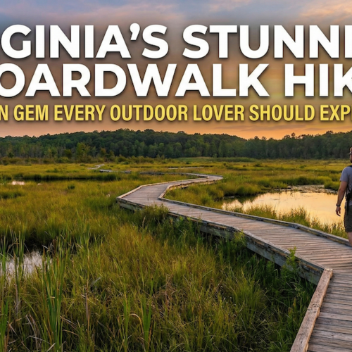 Virginia’s Stunning Boardwalk Hike Is a Hidden Gem Every Outdoor Lover Should Experience