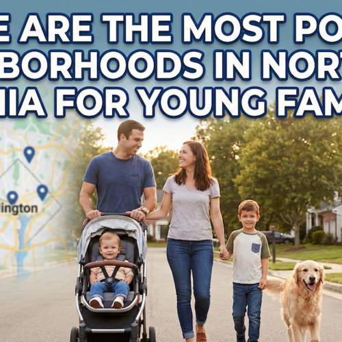 Where are the most popular neighborhoods in Northern Virginia for young families?