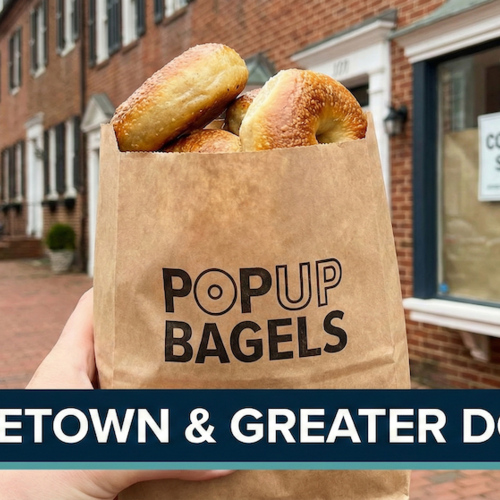 Popup Bagels Is Coming to Georgetown and the Greater DC Area!
