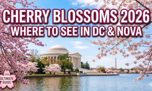 Where to See Cherry Blossoms in Washington DC and Northern &hellip;