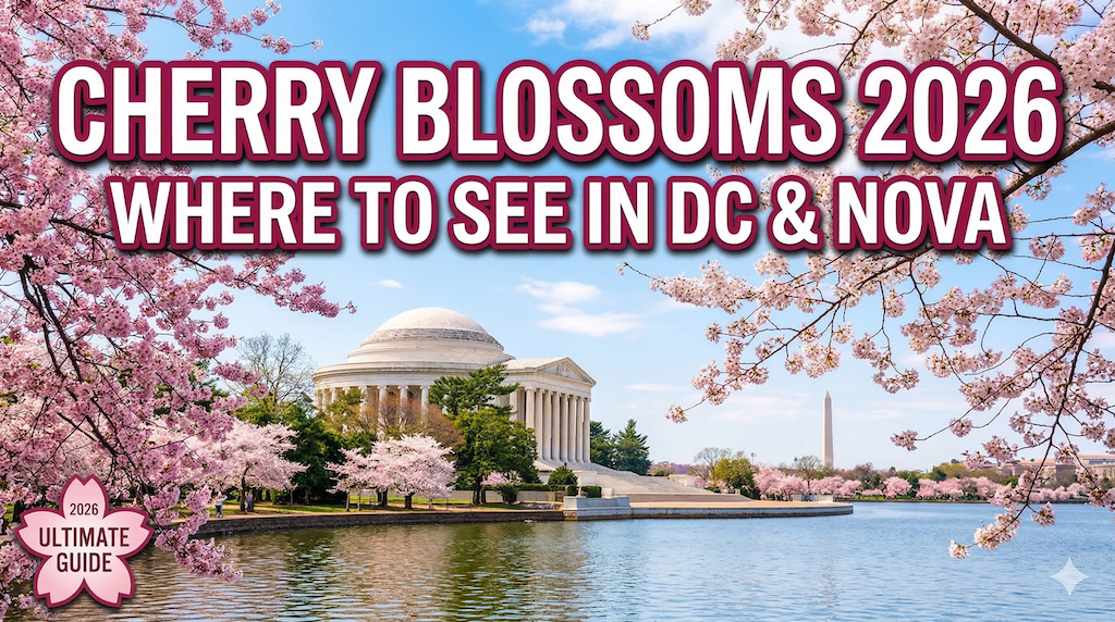 Gemini_Generated_Image_3nzze83nzze83nzz