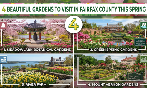 4 Beautiful Gardens to Visit in Fairfax County &hellip;