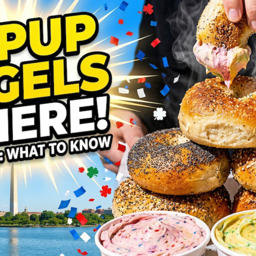 PopUp Bagels Is Coming to the DC Area: What Northern Virginia Residents Should Know