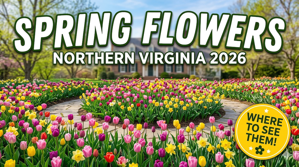 Gemini_Generated_Image_xoyipqxoyipqxoyi