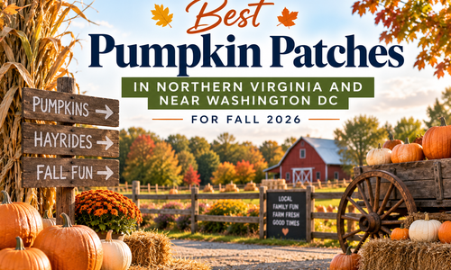 Best Pumpkin Patches in Northern Virginia and Near Washington DC &hellip;