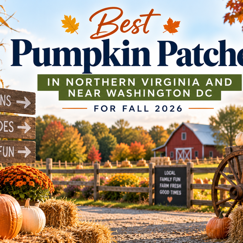 Best Pumpkin Patches in Northern Virginia and Near Washington DC for Fall 2026