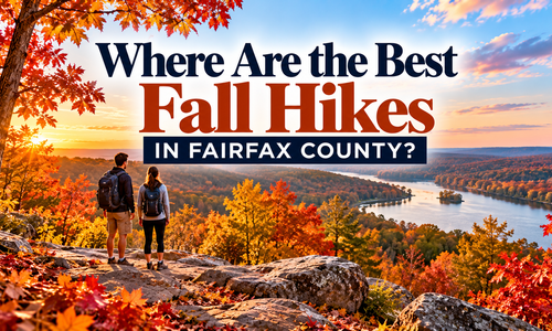 Where Are the Best Fall Hikes in Fairfax County?