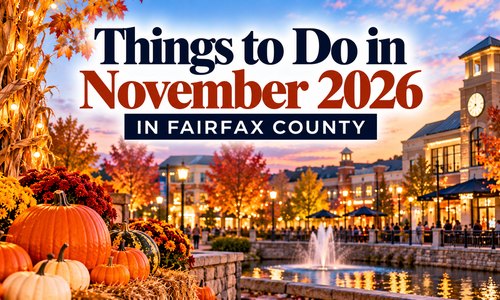 Things to Do in November 2026 in Fairfax &hellip;