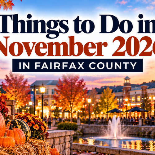 Things to Do in November 2026 in Fairfax County
