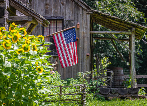 Cuttalossa Farm - Summer July 12 2021-18