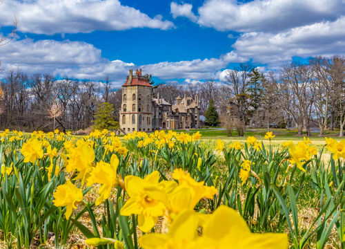 Doylestown - Spring 2019-6
