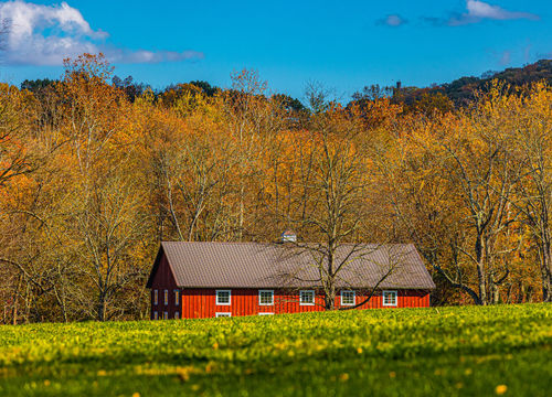 Fall 2021 - Van Sandt Covered Bridge-11