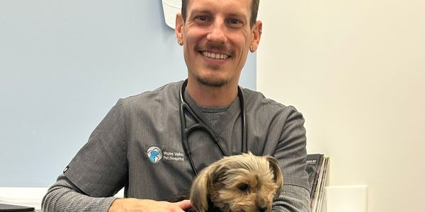 Vegas Valley Pet Hospital