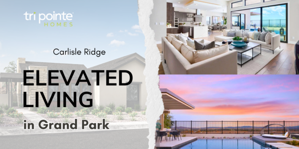Now Selling: The Carlisle Floor Plans By Tri …