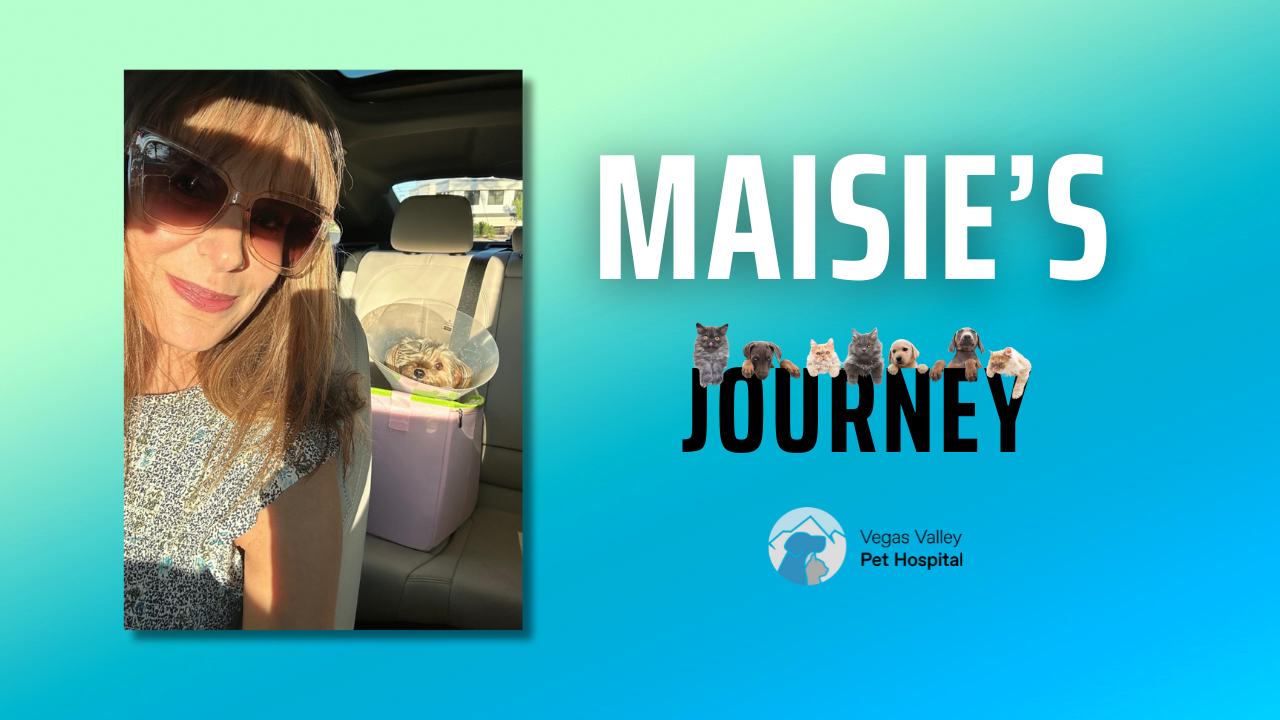 Red And White Modern Minimalist Top 5 Shocking Moments YouTube Thumbnail (65)