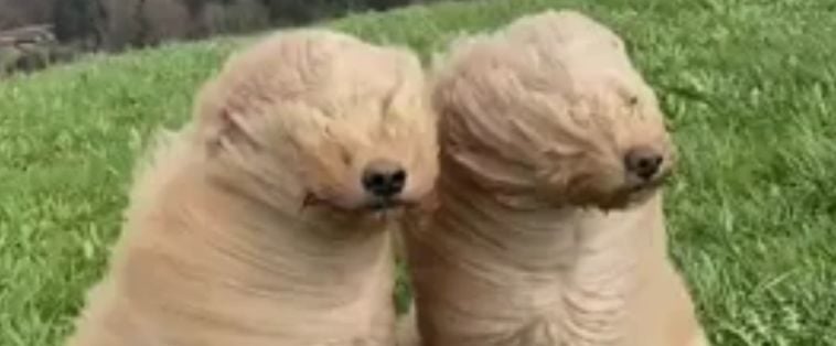 Resizing for Blog 2 (1)