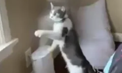 HVAC-Mounted Humidifiers, it’s a thing