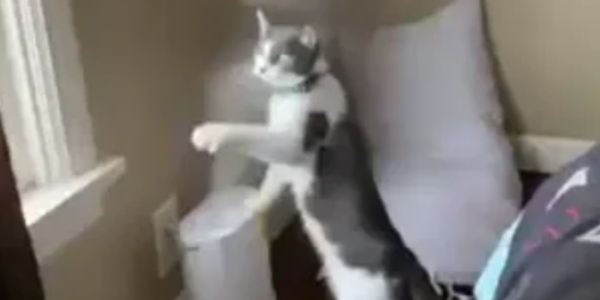 HVAC-Mounted Humidifiers, it’s a thing