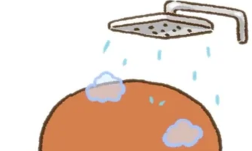 Why Cleaning Your Bathroom Dryer Vent Matters More Than You &hellip;