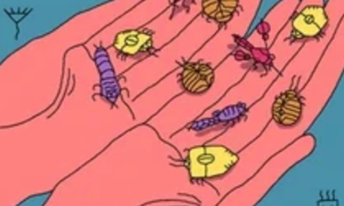 Non-Toxic Hacks to Keep Bugs OUT 🚫