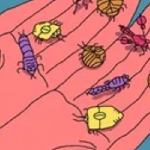 Non-Toxic Hacks to Keep Bugs OUT 🚫