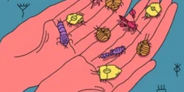 Non-Toxic Hacks to Keep Bugs OUT 🚫
