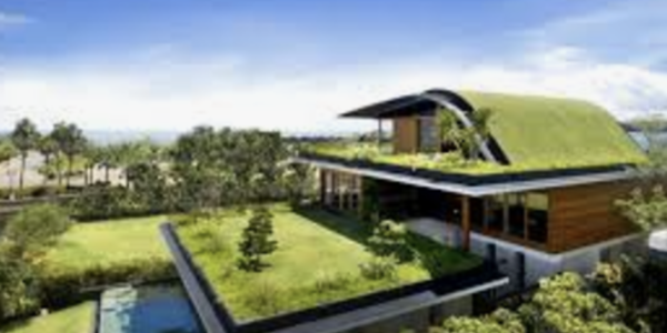 The Benefits of Eco-Friendly Upgrades: How Going Green …