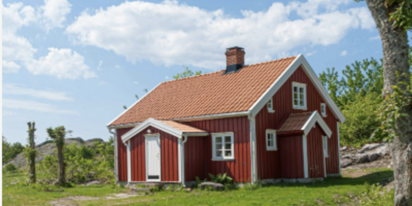 Embrace the Summer Vibes: Essential Homeownership Tips for …