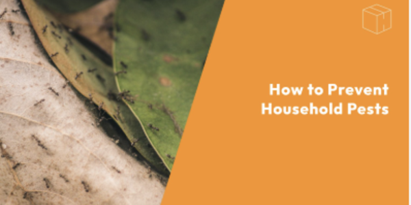 How to Prevent Household and Yard Pests
