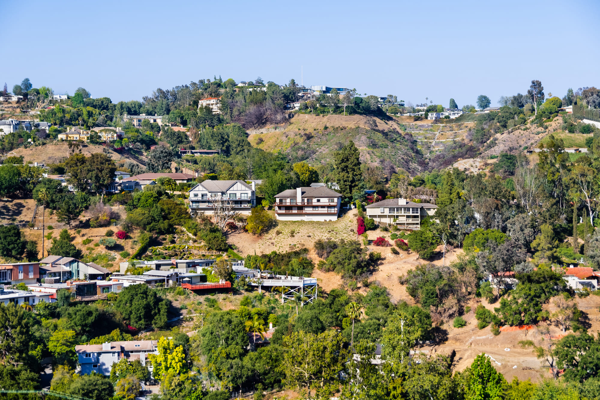 hollywood1