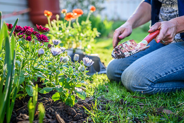 spring-gardening-tips-2