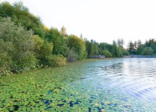 Every Door Real Estate - Lynnwood (1)