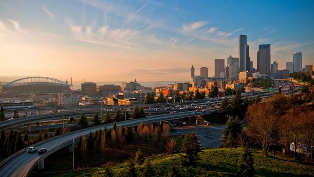 Market Insight & Analysis