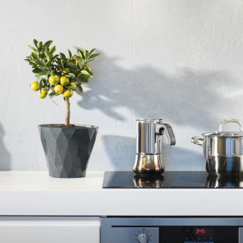 Cash Offers vs Traditional Loans: Which Wins?