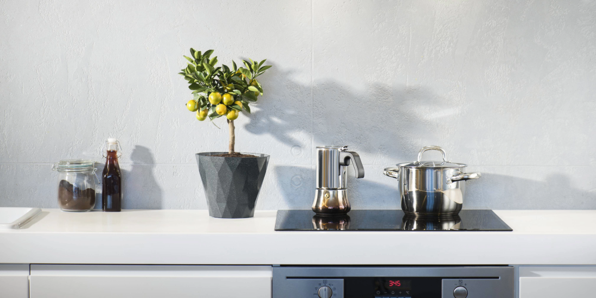 AgentFire 1200x600 Blog Photos-15