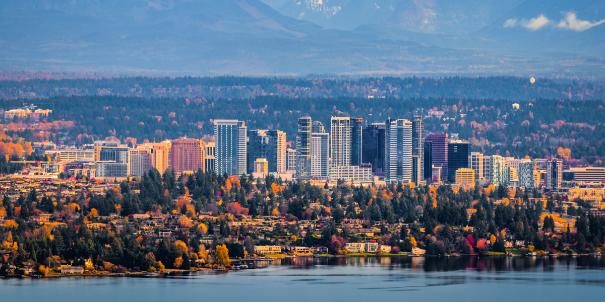 AgentFire 1200x600 Blog Photos-34